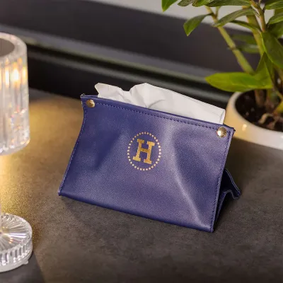 Органайзер для салфеток в салон автомобиля 20х12х12,5 см, синий Органайзер для салфеток в салон автомобиля 20х12х12,5 см, синий