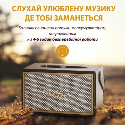 Портативная колонка OneDer D6 BT/TF/USB/AUX 40 Вт, коричневый Портативная колонка OneDer D6 BT/TF/USB/AUX 40 Вт, коричневый