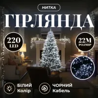 Гірлянда Нитка 220 LED 22 м чорна, білий